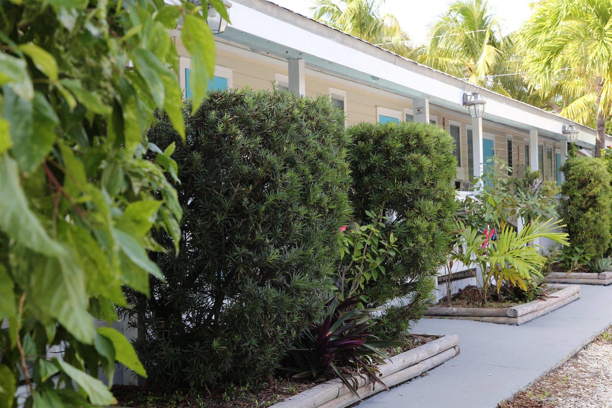 Seashell Motel And International Hostel Key West Exterior photo